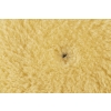Tarcza polerska z wełny 130/145mm MEDIUM (średnia, żółta) Rupes (9.BW150M)