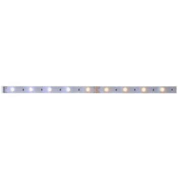 MaxLED 250 Strip 1m regulacja temperatury IP20 3,5W 230/24V Srebrny